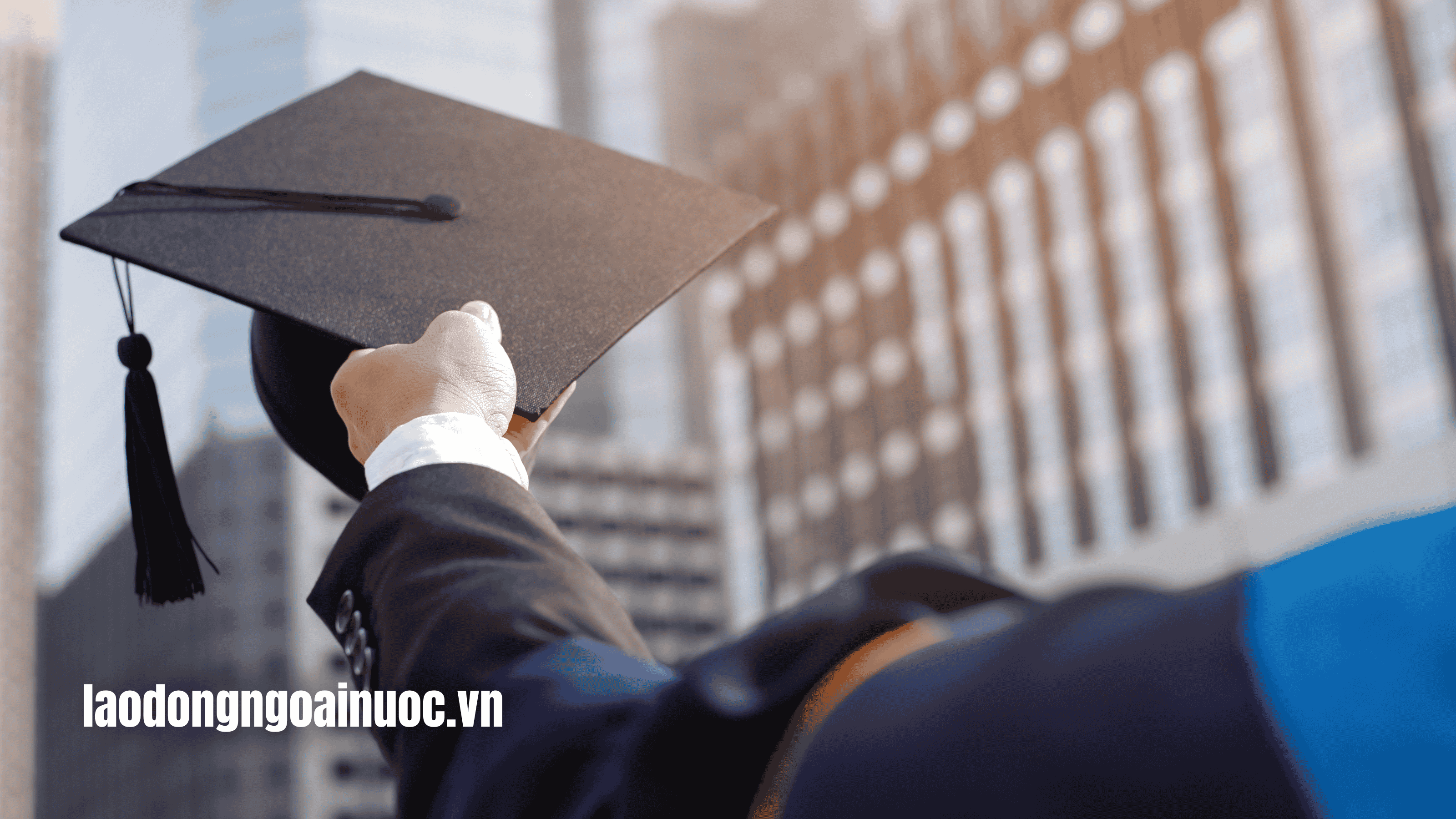 Bằng kỹ sư thực hành có đi Nhật được không