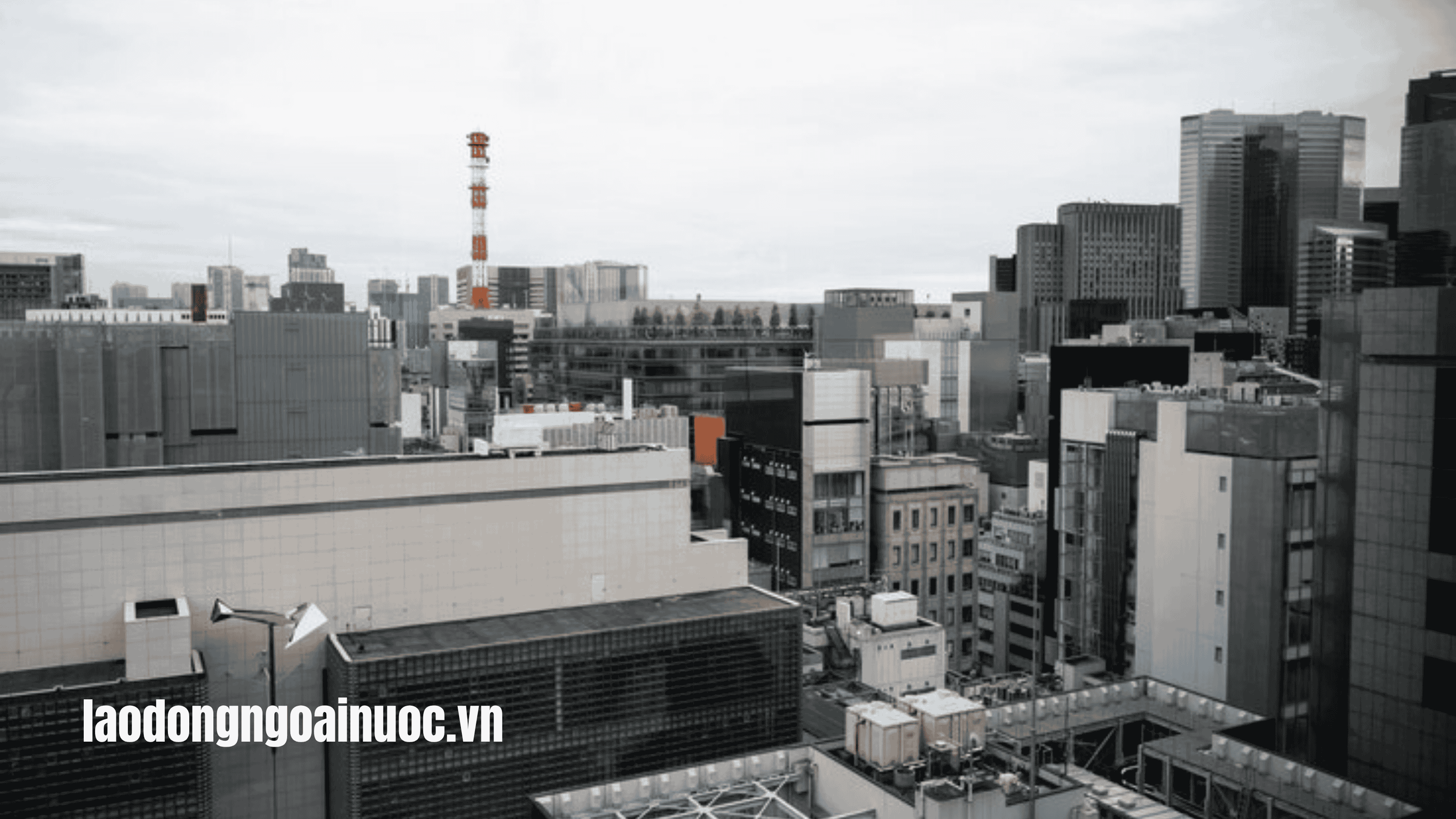 FAQs Thắc mắc liên quan đến chi phí đi Nhật 3 năm