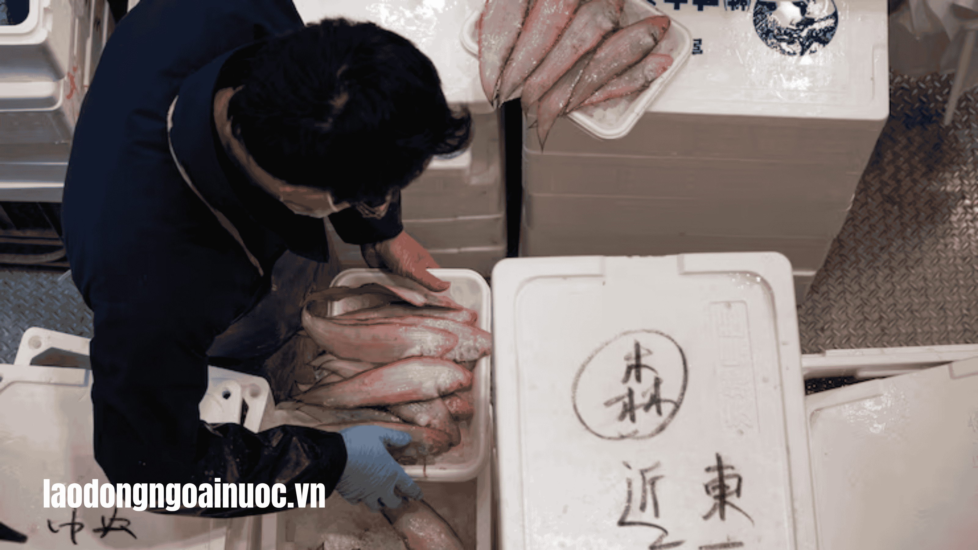Mức lương theo vùng miền tại Nhật Bản