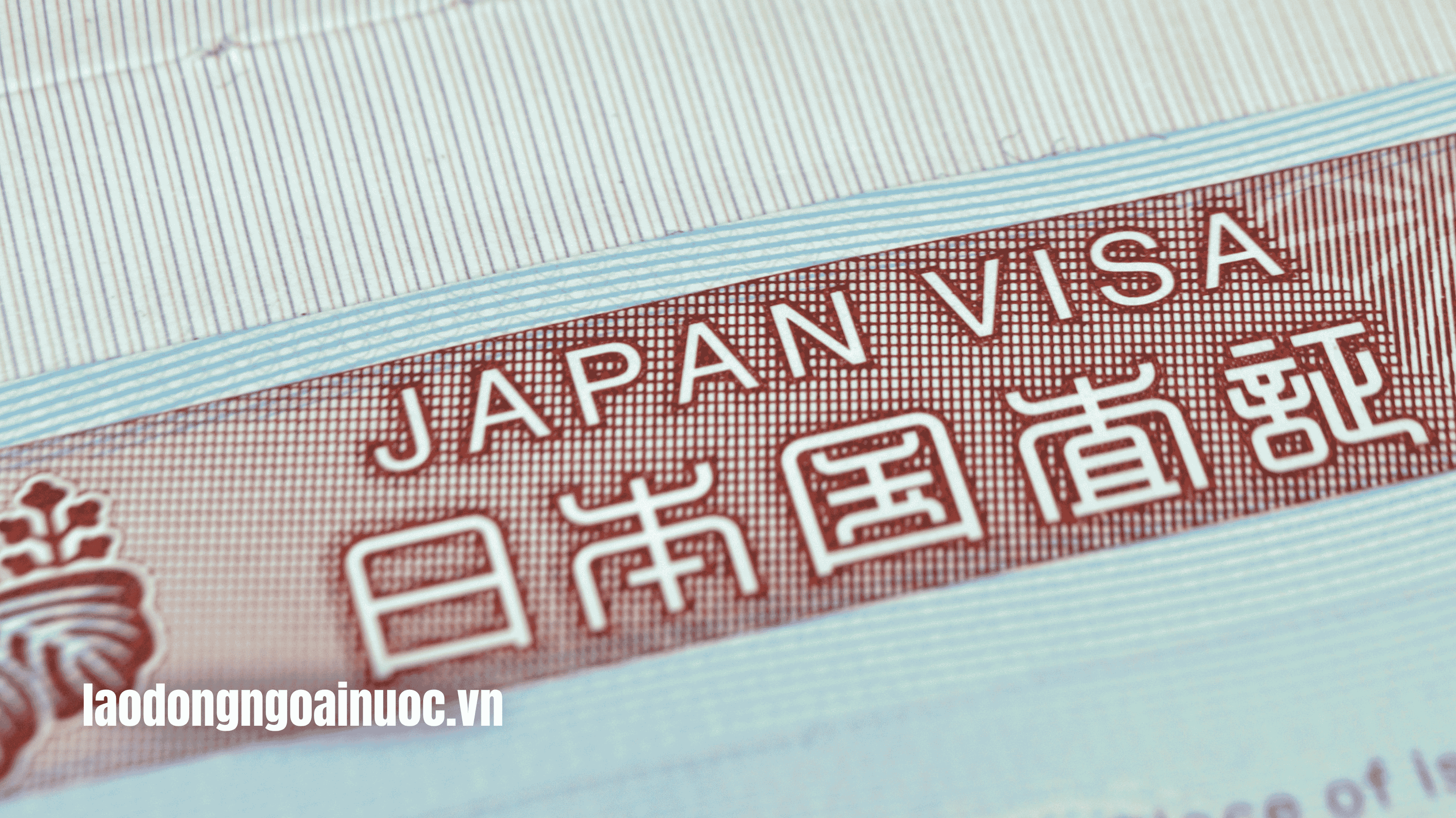Visa kỹ sư Nhật Bản là gì