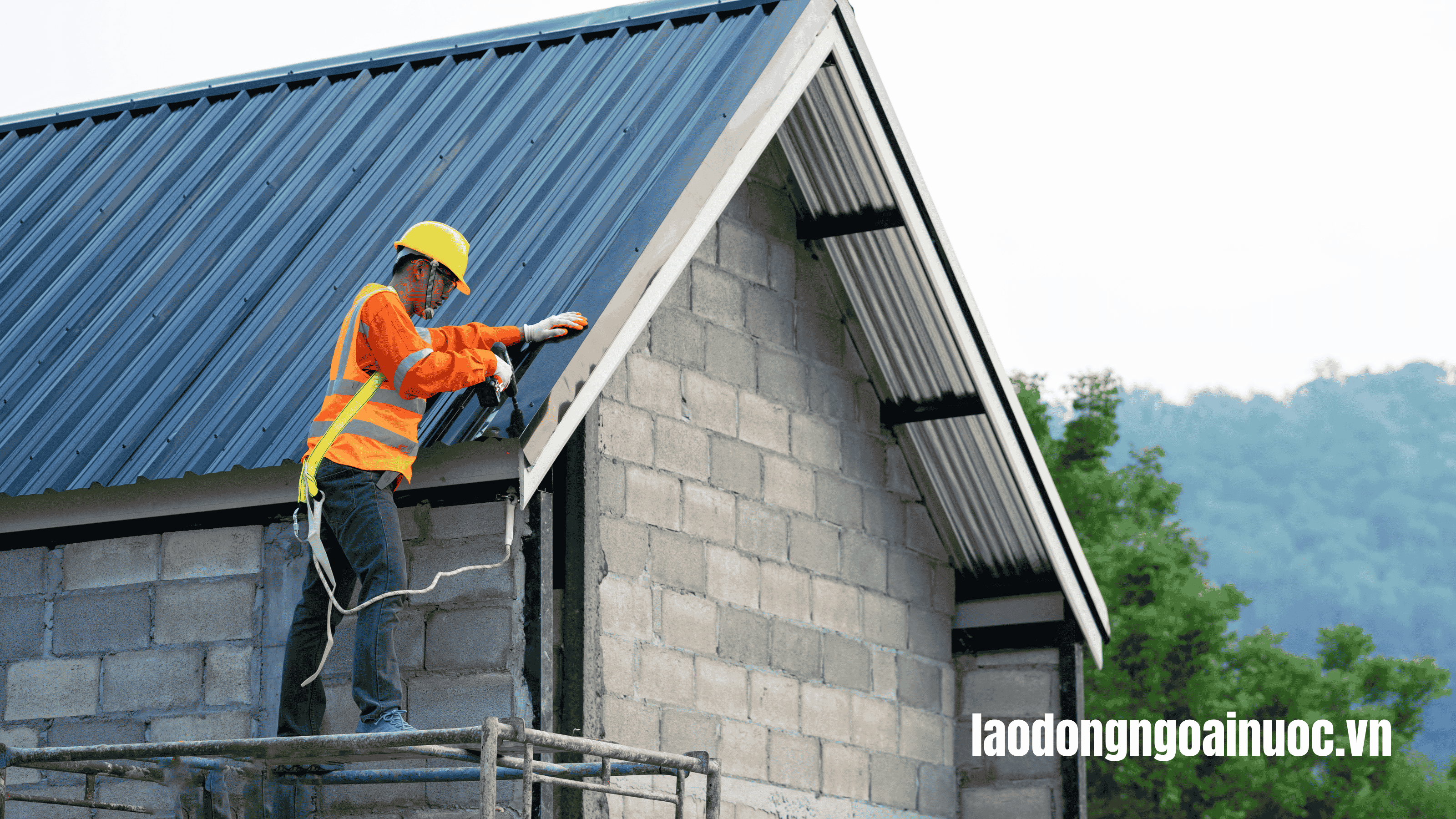 Xuất khẩu lao động qua chương trình kỹ năng đặc định (Tokutei Gino)