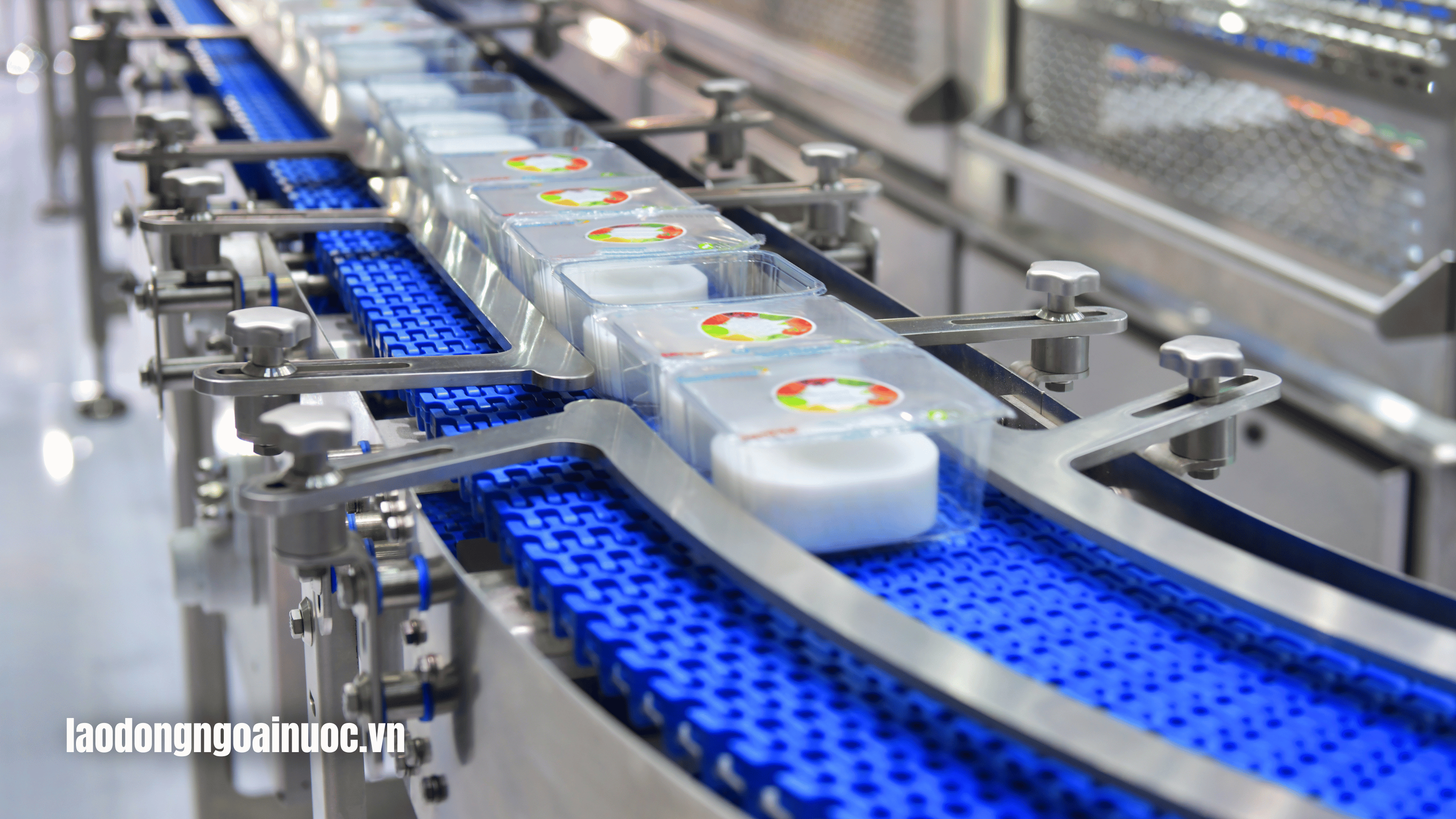 Các vị trí tuyển dụng phổ biến trong đơn hàng cơm hộp