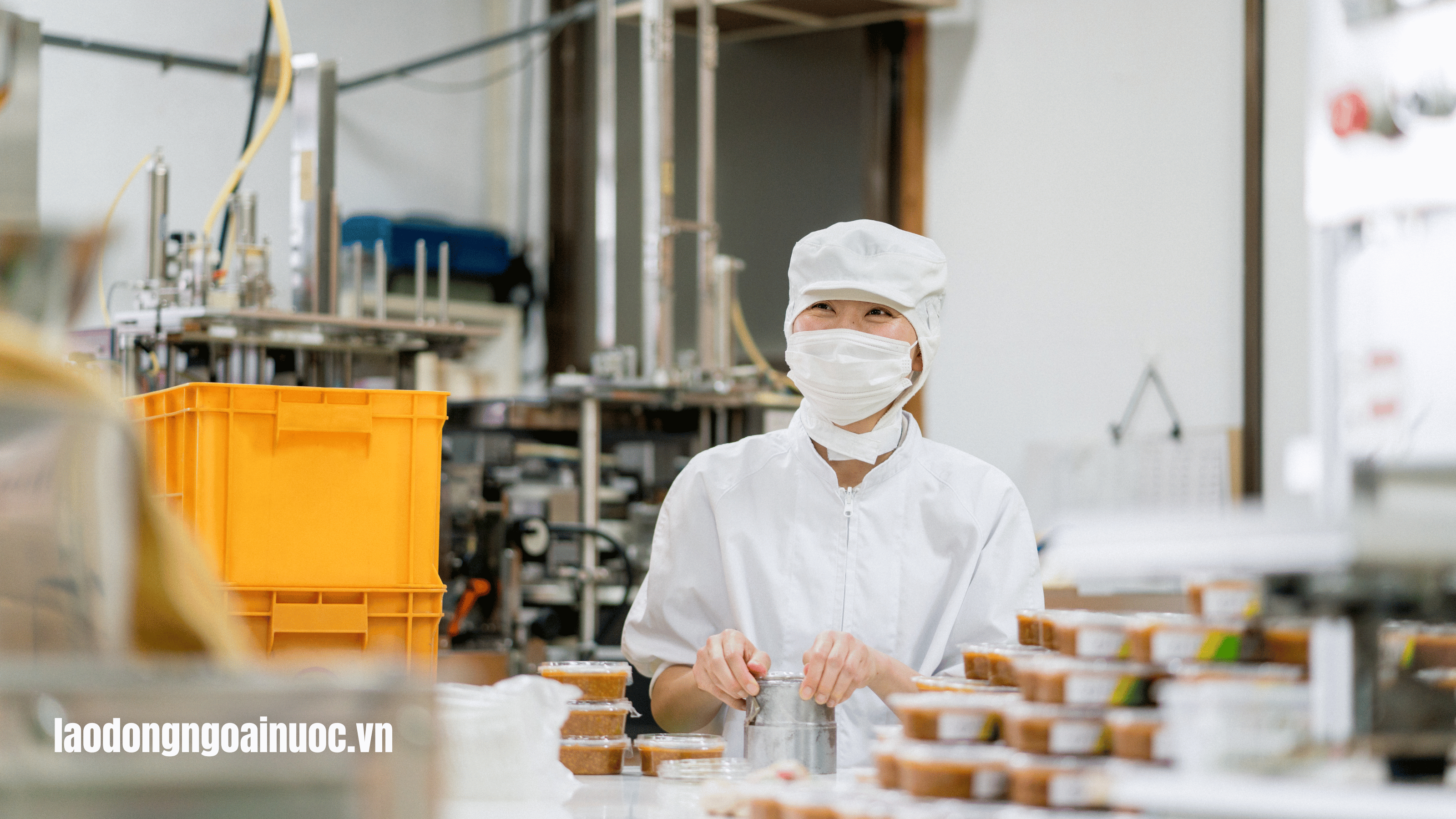 Điều kiện tuyển dụng đơn hàng cơm hộp Nhật Bản