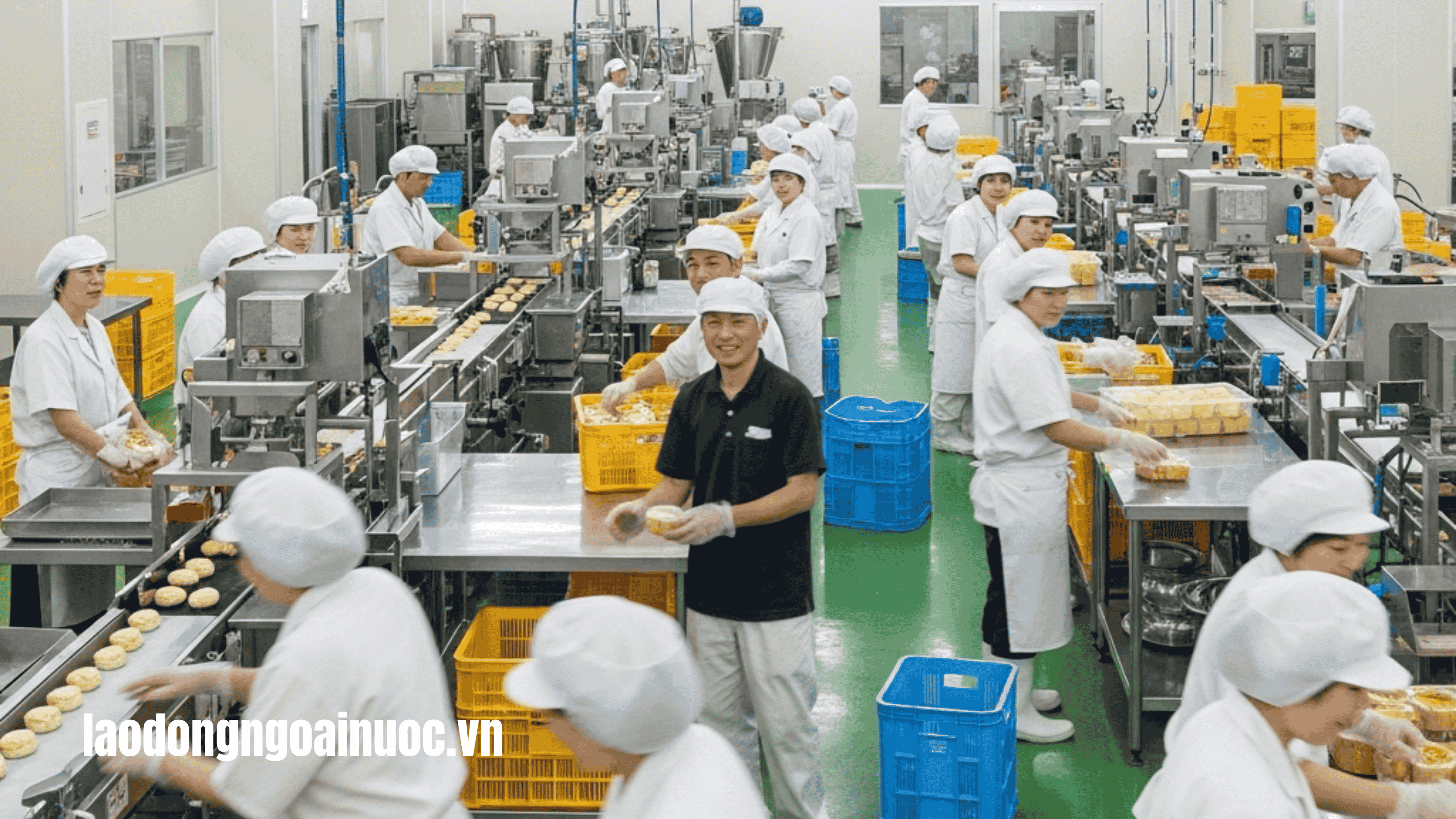 FAQs Thắc mắc liên quan đến câu hỏi mục đích đi Nhật của bạn là gì