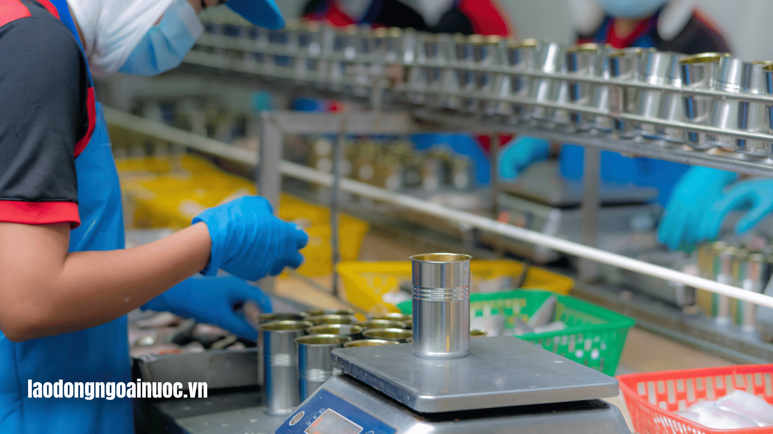 FAQs Thắc mắc liên quan đến công việc chế biến đồ ăn sẵn tại Nhật Bản