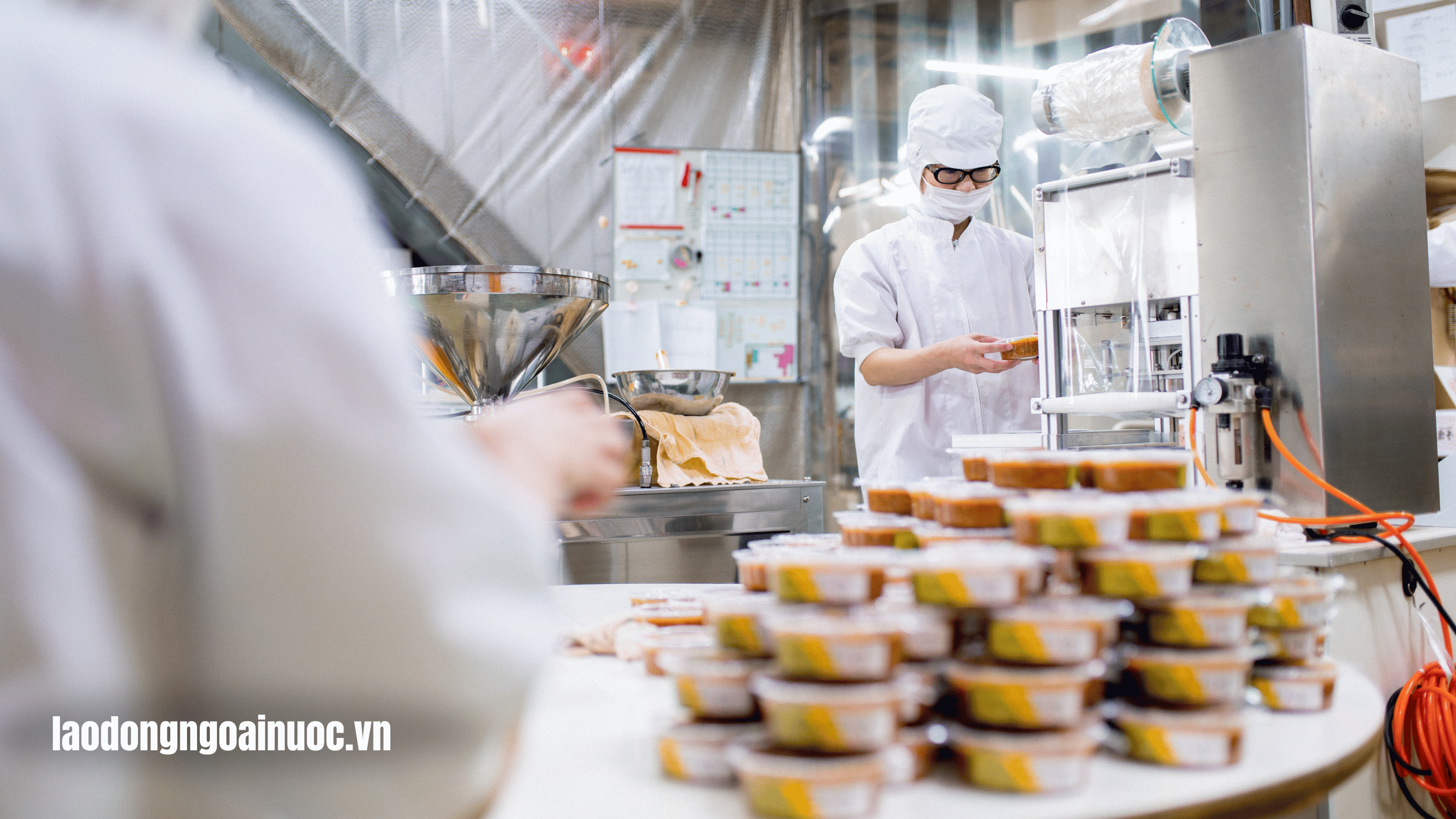 Giới thiệu ngành chế biến đồ ăn sẵn tại Nhật Bản