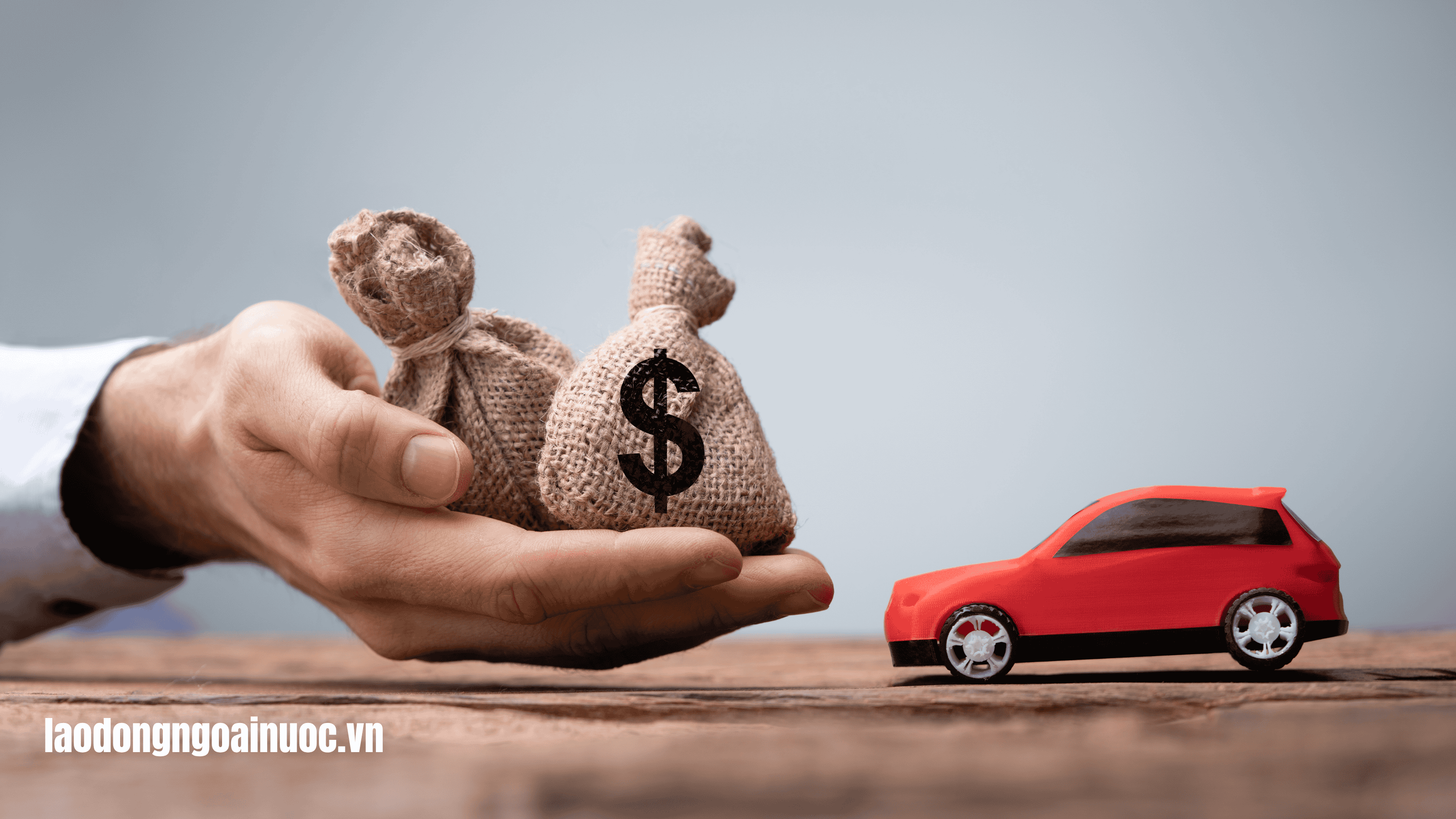 So sánh mức lương kỹ năng đặc định với thực tập sinh kỹ năng và các loại visa khác