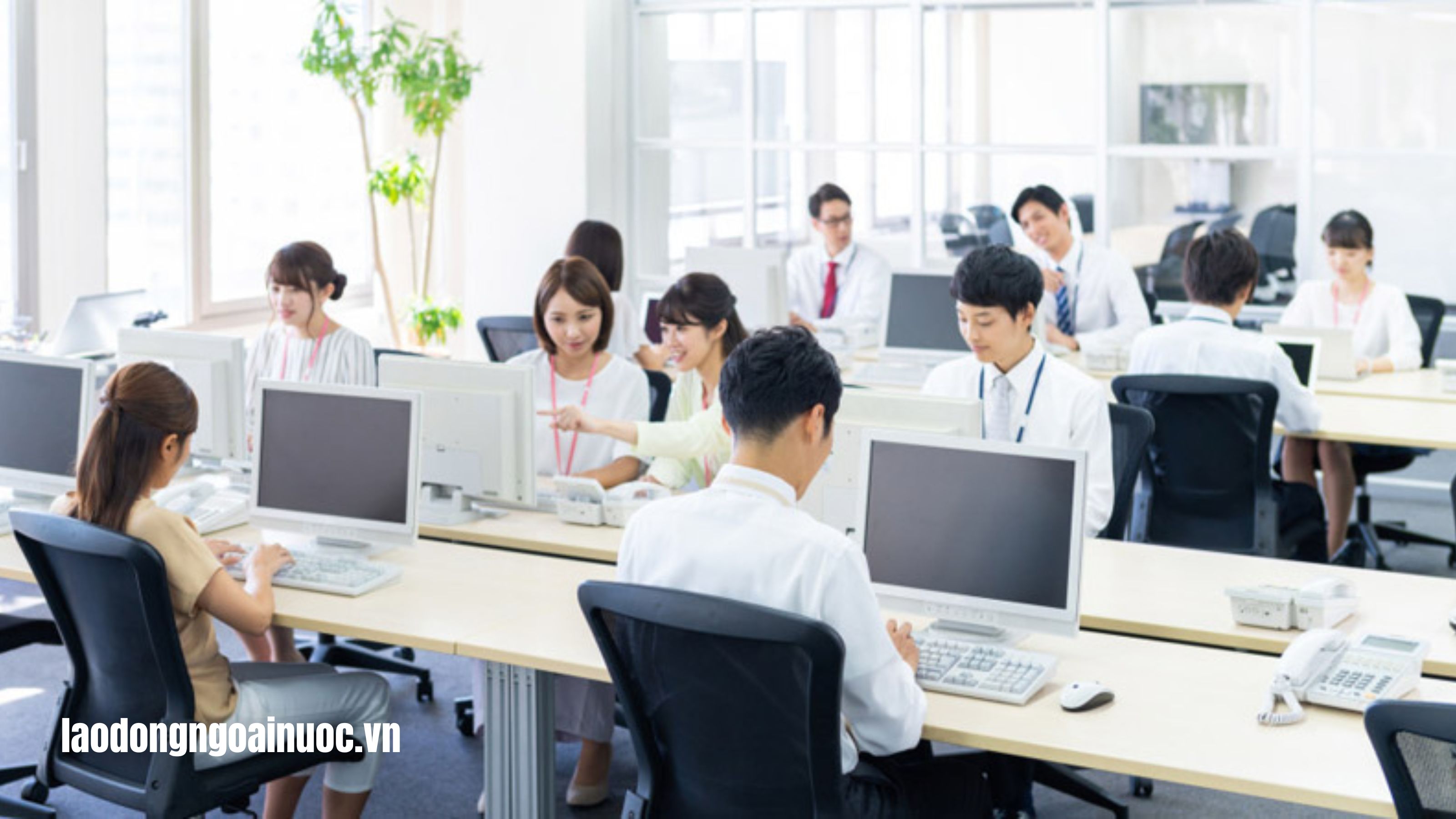 Làm thế nào để lựa chọn công ty phái cử uy tín